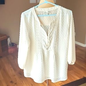 St Johns Bay Pleated button blouse